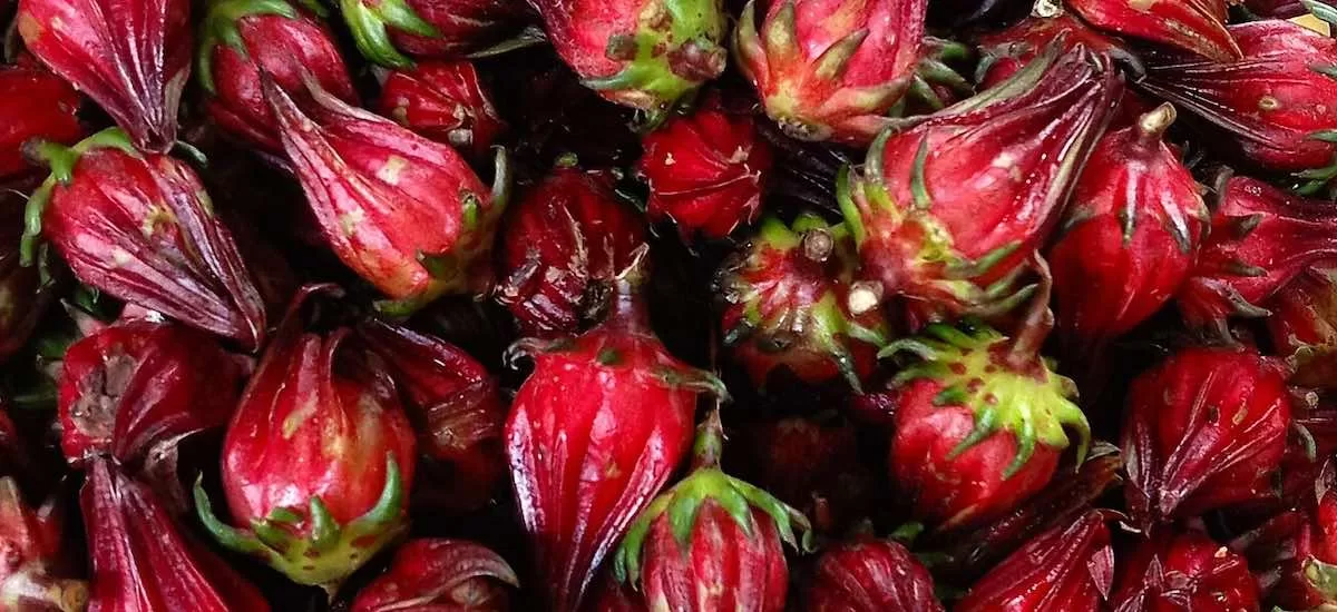 Agua de Jamaica: beneficios, propiedades, contraindicaciones y cómo prepararla